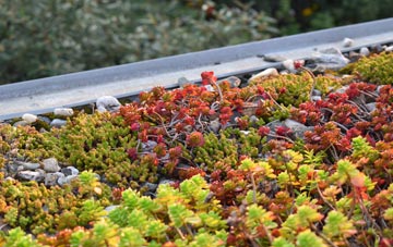 the cost of Caistor green roof installation