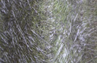 Caistor fibreglass roof work